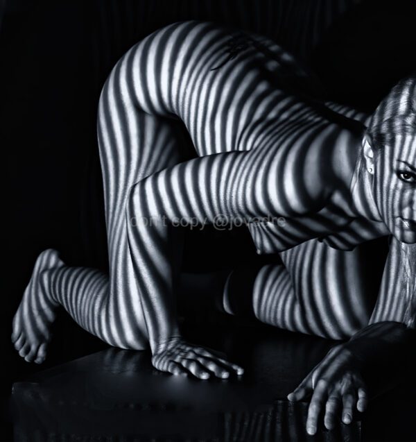 stripes