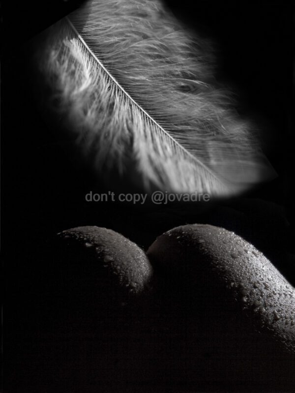 Female buttocks